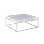 Chintaly Imports,Contemporary Square Cocktail Table Acrylic Top & Steel Frame